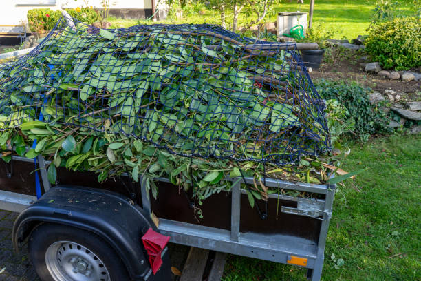 Best Dumpster Rental Services  in Mcguire Af, NJ